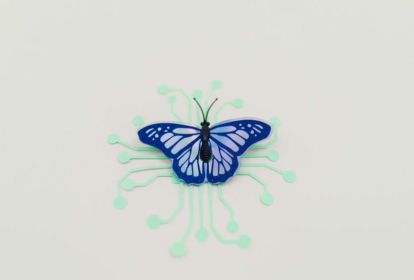 digital butterfly clip art